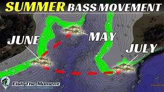 Planning To Fish Offshore This Summer? Watch This First!