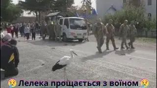 😢 Лелека прощається з воїном 😢 The stork says goodbye to the warrior 😢