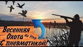 ВЕСЕННЯЯ ОХОТА НА УТКУ С ПНЕВМАТИКОЙ. ОХОТА С ПОДСАДНОЙ. ОХОТА С HATSAN STRIKER EDGE