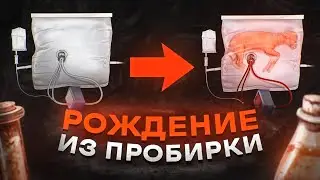 🧪🧪Рождение из пробирки. Биоутроба.