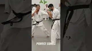 KNOCKOUT FIGHT Technique / KYOKUSHIN Karate👊