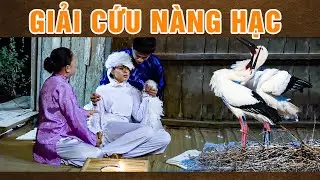 Phim Cổ Tích 2024 | GIẢI CỨU NÀNG HẠC | Cổ Tích Việt Nam 2024 | Phim Truyện Cổ Tích Việt Nam 2024