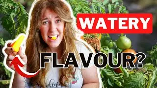 Does Soil Nutrients Affect Food Flavour? The Five Nutrients That Change Crops Flavour. 🍅🫑