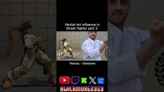 IRL Martial Arts Of StreetFighter Part 5        