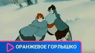 👨‍👨‍👧‍👧 Куропатка и петух усыновляют птенцов, которые остались без родителей! Оранжевое горлышко.