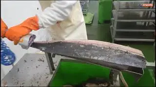 Ручная пневматическая шкуросъемная машина для снятия шкуры DESCORTEZADORA NEUMÁTICA MANUAL Q-72