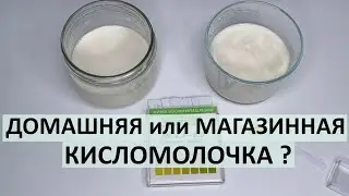 Почему я заквашиваю кисломолочные продукты сама, а не покупаю готовые.