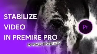 Stabilize Video in Premiere Pro CC 2018