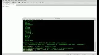 SendKeys in Linux with XTE of Xautomation - BASH - Linux