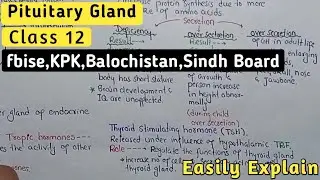 Pituitary Gland | Growth Hormone