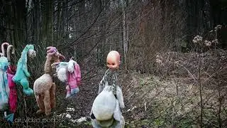 видеозарисовки хоррор футаж чернецкое Чехов-7 мрак пастмурно весна 2022 детские игрушки