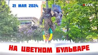 утро на цветном бульваре сегодня 21 мая 2024 года