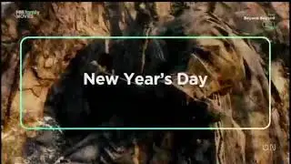 The Hobbit: The Desolation Of Smaug - Fox Family Movies Teaser