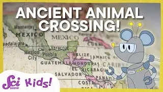 The Ancient Animal Crossing | SciShow Kids