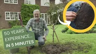 How to Plant a Tree: 5 steps from the UK's top tree growing expert