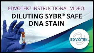 Edvotek Instructional Video: Diluting SYBR® Safe DNA Stain