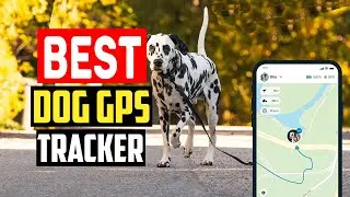 ✅Best dog gps tracker in 2023