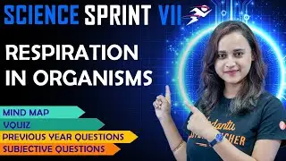 Respiration in organisms | CBSE Class 7 Science | Final Exam Sprint 