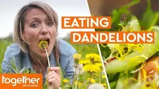 Is Eating Dandelions Good for You? | Super Foods: The Real Story