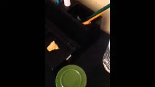 My furs video