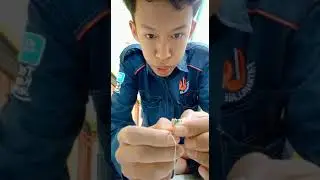 krimping kabel jaringan UTP tipe straight oleh Rio Saputra XII TKJ SMK Fatahillah