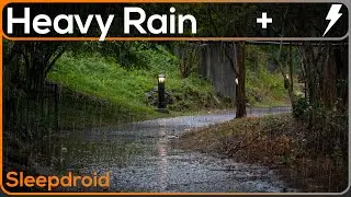 ► Rain and Distant Thunder Sounds for Sleeping (Walking Path)