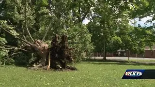 Neighbors in Charlestown help clean up damage from Sunday's storms