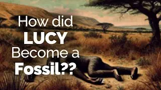 CARTA: How Did Lucy Become a Fossil?