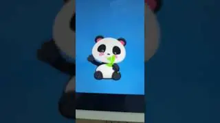 Meet the Panda 🐼☘️🍀