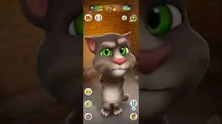 Talking Tom Cat #shorts