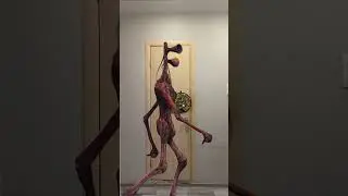 All Siren Heads in my home 