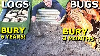 What Happens When You Bury Logs & Bug Shells in a Raised Garden Bed?