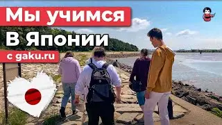 Как поехать на обучение в Японию? Компания gaku.ru приветствует вас!