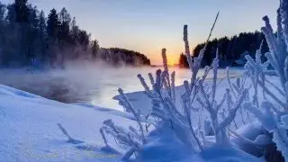 Микаэл Таривердиев 