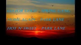 Only the best music - POP MUSIC - spring gang - Park Lane
