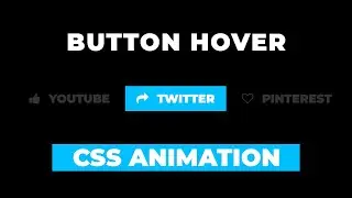 Pure CSS Button Hover Effect | CSS Animation Examples