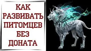 Бесплатная прокачка фамилиаров Diablo Immortal гайд