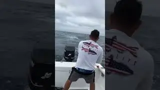 Stand up Marlin fight, no chair