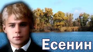 Есенин. Стихи. Не бродить не мять в кустах багряных 🍁