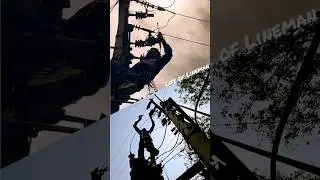 Life of Lineman 💀 | Lineman Work | #ytshorts #viral #trending #lineman #electrician