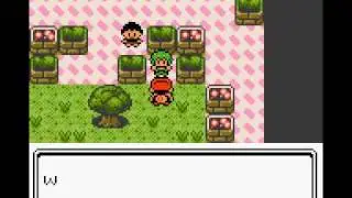 Pokemon Legend Version Part 3 - Gym leader Bugsy