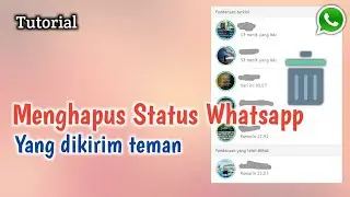 How to delete your friend's status story on WhatsApp