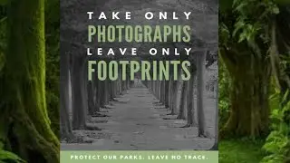 Best World Environment Day massage| World Environment Day |poster| theme | quotes | 2021