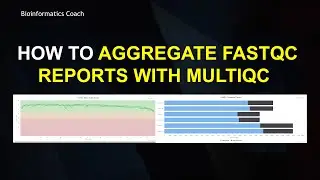 FastQC Tutorial | How to Aggregate Multiple FastQC Reports into a Single Output File using MultiQC