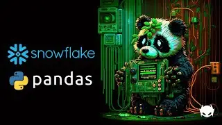 Convert Snowflake Warehouse Data to Pandas Dataframes | Automate Python Executions of Snowflake data