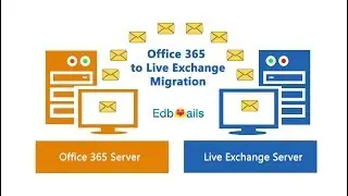 Office 365 to Live Exchange Server Migration