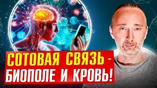 Как СВЧ излучения влияют на КРОВЬ и БИОПОЛЕ? Есть ли ЗАЩИТА?