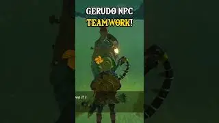 Gerudo NPC TEAMWORK! 👍 (Zelda TOTK)