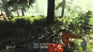 The Forest COOP V0.17B Screencapture test.