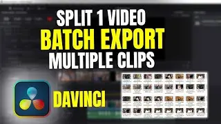 Batch Export Multiple Videos Clips in DaVinci Resolve | Time and Effort Saving Tool